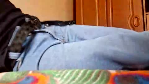 Snapshot of juan488826 chatting on 23, 3, 2026 juan488826 online show from 23, 3, 2026