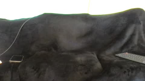 Snapshot of juanmamestre94 chatting on 7, 10, 2025 juanmamestre94 online show from 7, 10, 2025