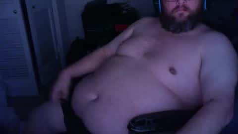 Judobear online show from 13, 11, 2025