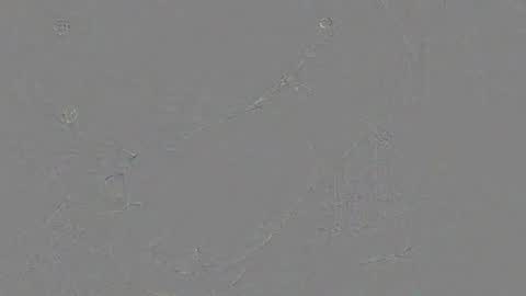 Jrgen Schnfeld online show from 24, 11, 2025