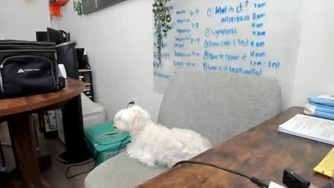 Jules online show from 20, 3, 2026