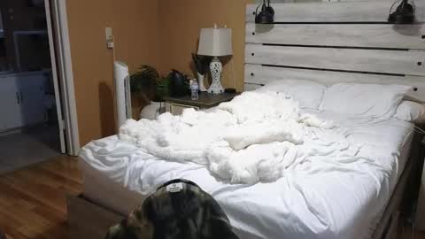 Texas Mamasita online show from 6, 2, 2026