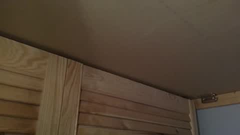 Gregor online show from 7, 10, 2025