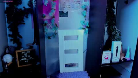 Junior online show from 10, 3, 2025