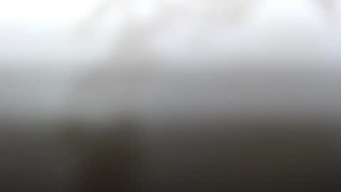 Snapshot of junk_yard_dog chatting on 4, 2, 2025 Dave online show from 4, 2, 2025