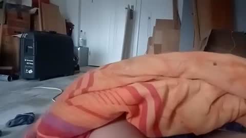 just4fun235 online show from 6, 1, 2026