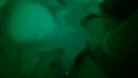 Yuri online show from 22, 12, 2024