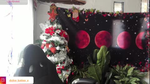 Snapshot of just_katiex chatting on 31, 12, 2024 Sofia online show from 31, 12, 2024