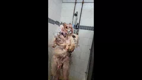 Just a Toy Soldier online show from 7, 4, 2026