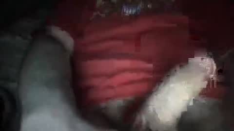 justinkinglols online show from 5, 10, 2025