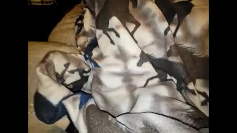 justswack online show from 7, 12, 2024