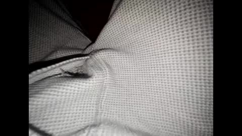 justswack online show from 8, 12, 2024