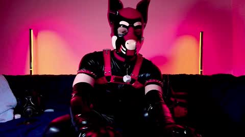 Alex online show from 25, 2, 2026