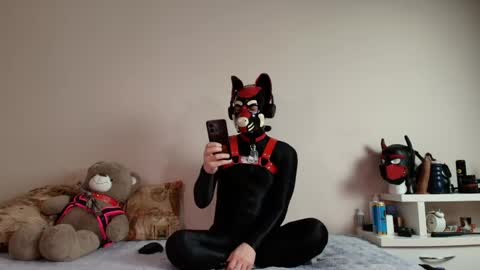 Snapshot of k9_goodboy chatting on 29, 4, 2026 Alex online show from 29, 4, 2026