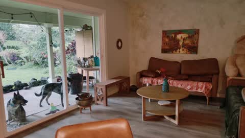 Kailee Smile online show from 8, 1, 2026