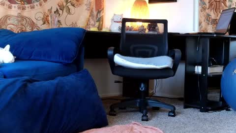 Snapshot of kalikushdreamz chatting on 30, 1, 2025 Tara Smith online show from 30, 1, 2025