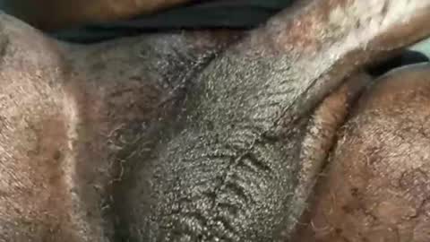 Snapshot of karadi5 chatting on 4, 12, 2024 Snookie online show from 4, 12, 2024