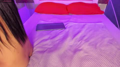 Karol online show from 20, 2, 2026