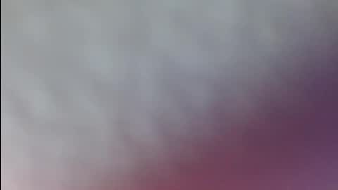 karol online show from 7, 4, 2026