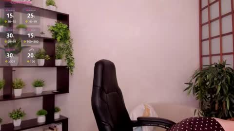 Kate online show from 24, 7, 2026