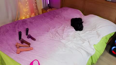 Snapshot of kate_sexhouse chatting on 5, 12, 2024 Kate  Sex-House  MILA WAYGMT2 MonTue  0300am-1500am online show from 5, 12, 2024