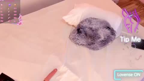 Katta online show from 12, 2, 2026