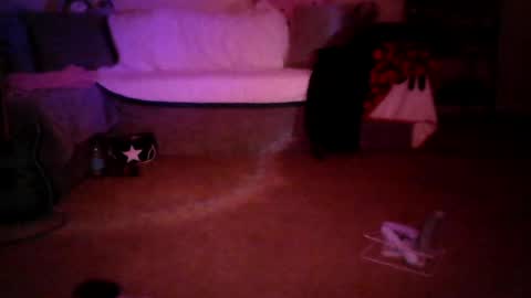kattattacck online show from 9, 6, 2026