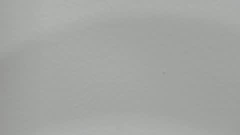 katy blonde girl and paola big boobs online show from 24, 12, 2024