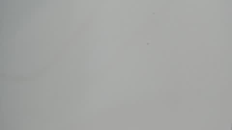 katy blonde girl and paola big boobs online show from 6, 2, 2025