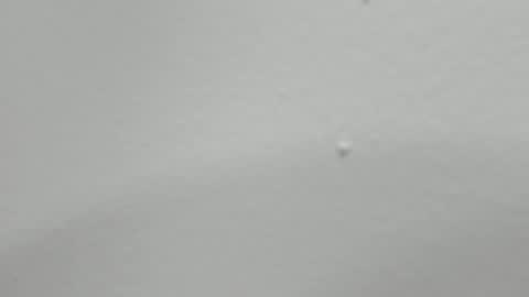 katy blonde girl and paola big boobs online show from 12, 2, 2025