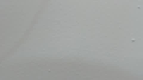 katy blonde girl and paola big boobs online show from 14, 2, 2025