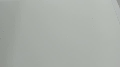 katy blonde girl and paola big boobs online show from 6, 10, 2025