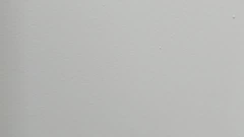 katy blonde girl and paola big boobs online show from 27, 10, 2025