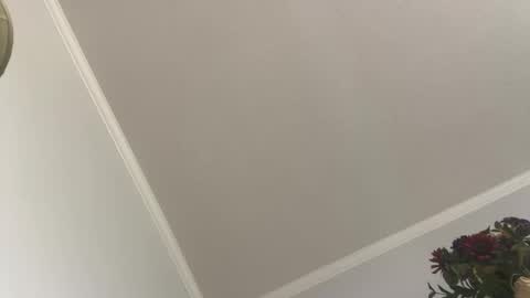 kcdad0001 online show from 3, 2, 2025