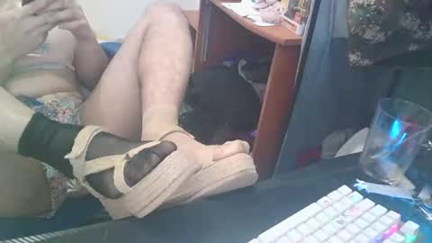 kcitrus online show from 24, 2, 2026