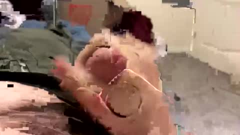 keegandaddy4200 online show from 11, 1, 2026