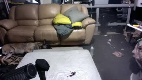 Dexter online show from 14, 7, 2026