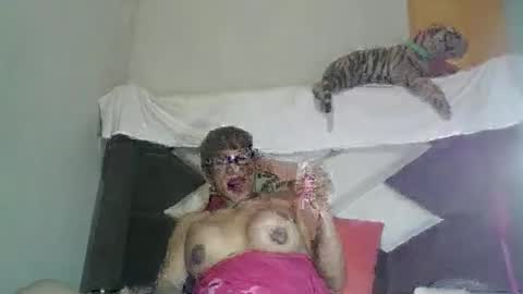 kelly_alisset online show from 12, 3, 2026