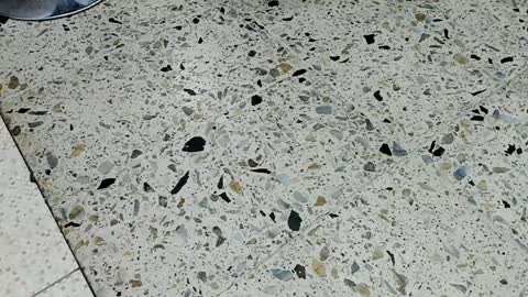 Kendra London online show from 10, 4, 2026