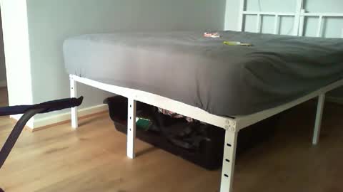 Daddyo online show from 20, 2, 2026