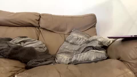 kevfromchat online show from 8, 1, 2025