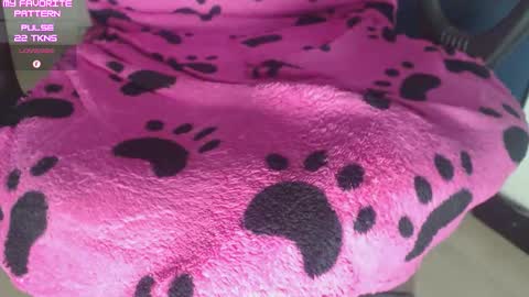 Kevin online show from 25, 2, 2026