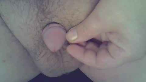 Snapshot of kevitannn chatting on 21, 12, 2024 maggot online show from 21, 12, 2024