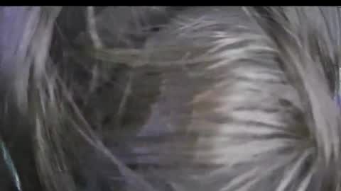 Keyla online show from 17, 1, 2026