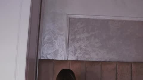 Katelyn online show from 4, 4, 2026