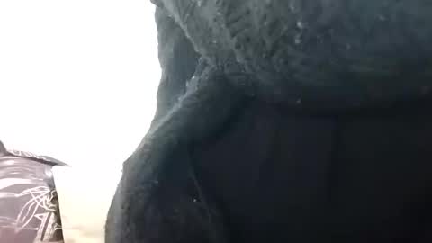 khushisinghh online show from 14, 12, 2024