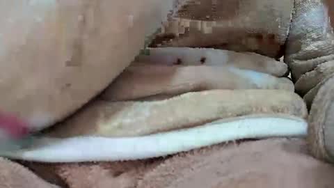 khushisinghh online show from 22, 1, 2025