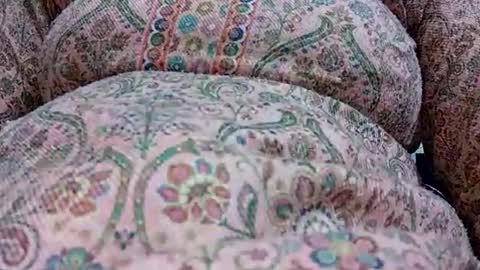 khushisinghh online show from 24, 1, 2025