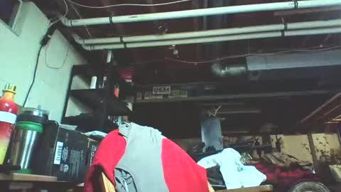 kick_1_down online show from 11, 12, 2024