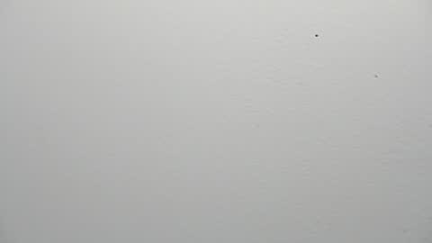 Snapshot of kiiaraamoon chatting on 24, 6, 2026 Kiara online show from 24, 6, 2026